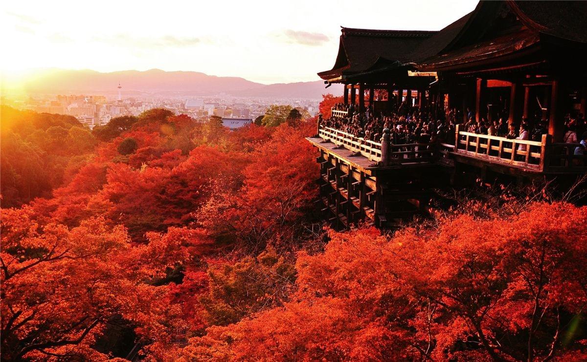 京都红叶