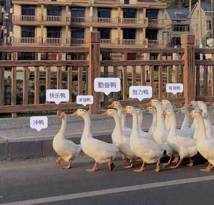 微信图片_20250608185250