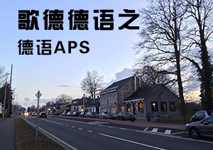 歌德德语之德语APS