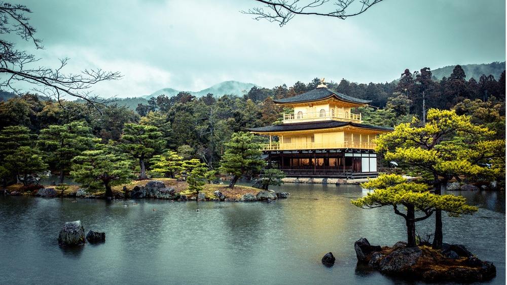 杭州日语培训哪家好丨西诺带你学旅行口语——酒店住宿篇（日本）